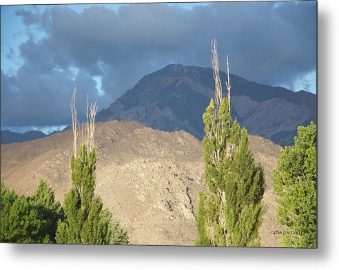 Bishop California - Metal Print