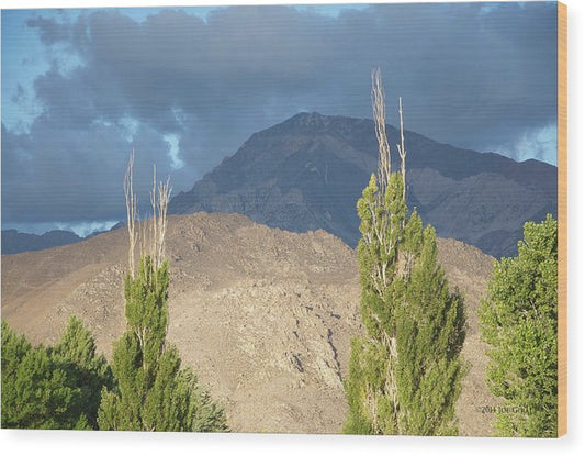 Bishop California - Wood Print